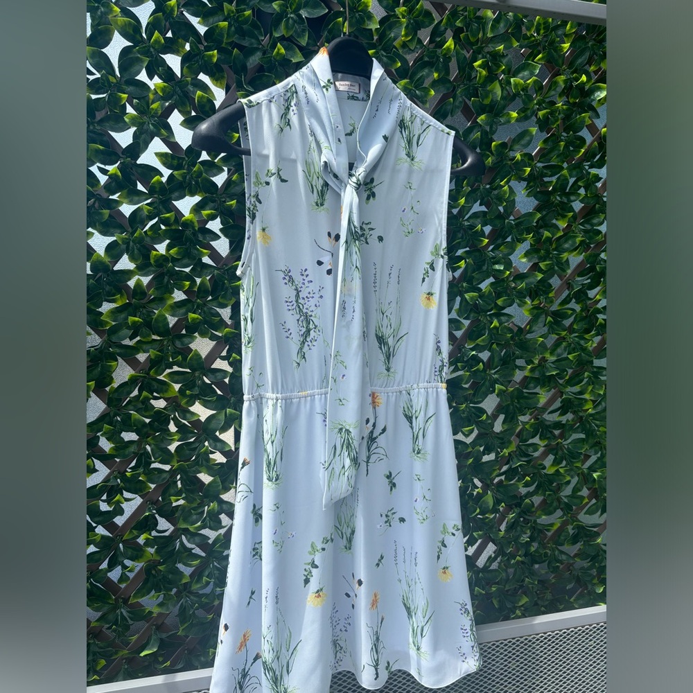 Aritizia Sunday Best blue floral dress